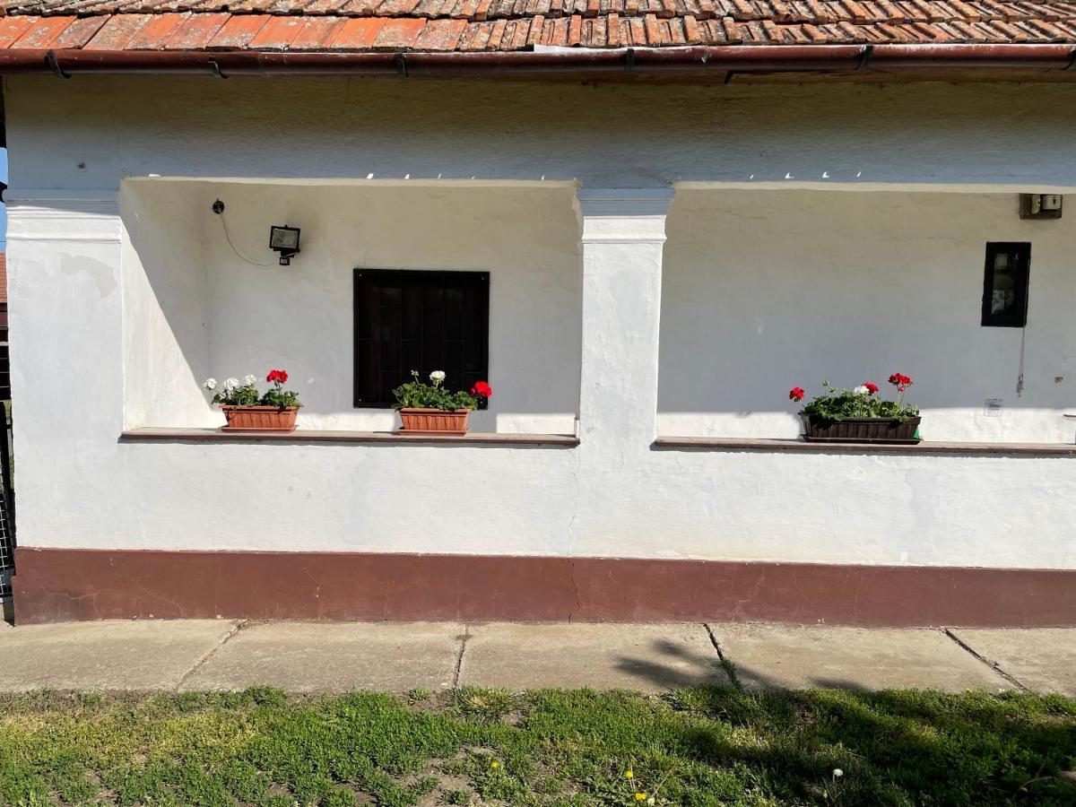 Appartamento Zsuzsa Apartman Poroszló Esterno foto